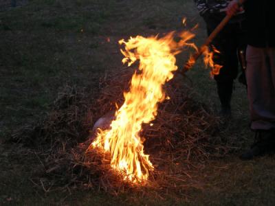 Hagyományõrzõ disznóvágás