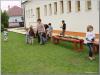 p4240151_t1.jpg