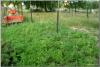 dsc01963_t1.jpg