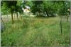 dsc01964_t1.jpg