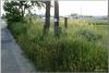 dsc01966_t1.jpg