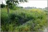 dsc01967_t1.jpg