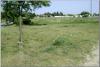 dsc01971_t1.jpg