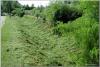 dsc02060_t1.jpg