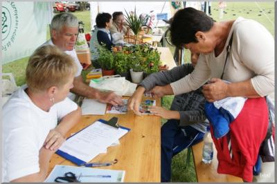 Falunap 2010.
