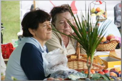 Falunap 2010.
