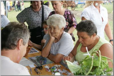 Falunap 2010.