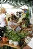 dsc00918_t1.jpg