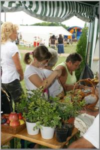 Falunap 2010.