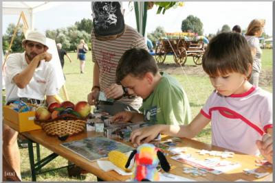 Falunap 2010.