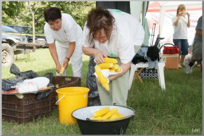 Falunap 2010.