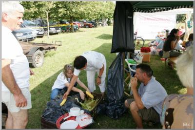 Falunap 2010.