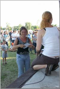 Falunap 2010.