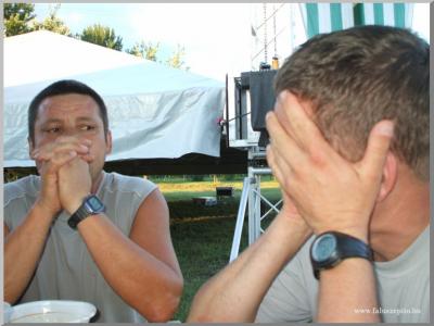 Falunap 2010.