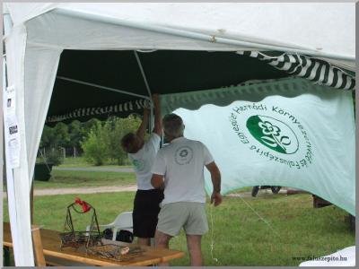 Falunap 2010.