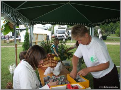 Falunap 2010.