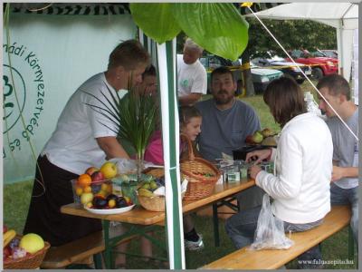 Falunap 2010.