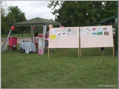 Falunap 2010.