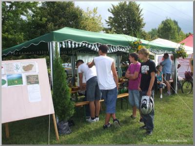 Falunap 2010.
