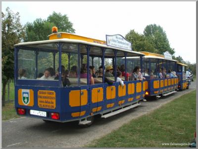 Falunap 2010.