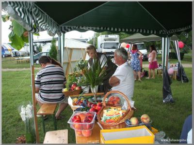 Falunap 2010.