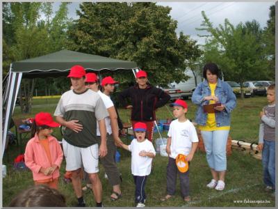 Falunap 2010.
