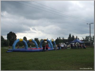 Falunap 2010.