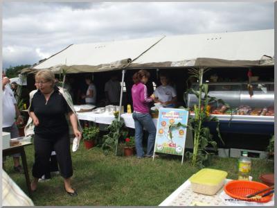 Falunap 2010.