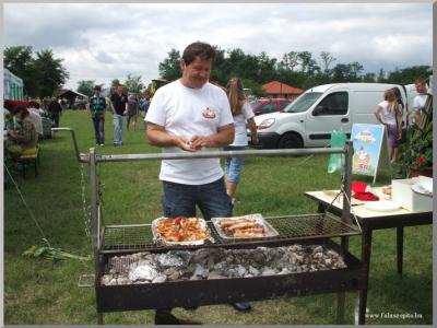 Falunap 2010.