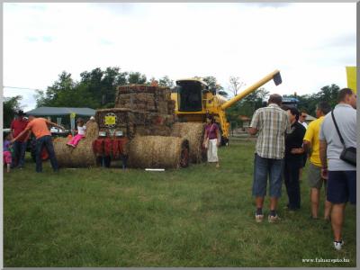 Falunap 2010.