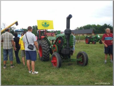 Falunap 2010.
