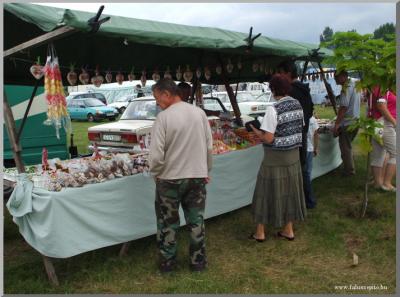 Falunap 2010.