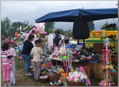 Falunap 2010.