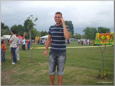 Falunap 2010.