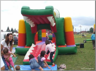 Falunap 2010.