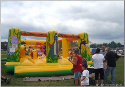 Falunap 2010.