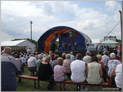 Falunap 2010.