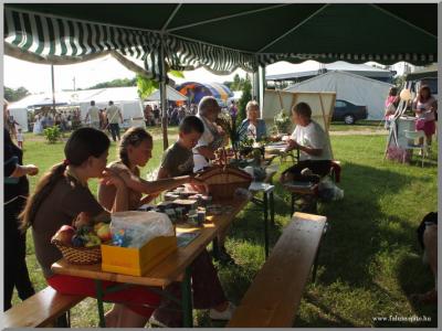 Falunap 2010.