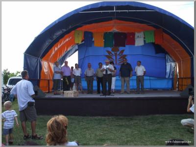 Falunap 2010.