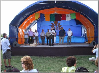 Falunap 2010.