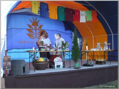 Falunap 2010.