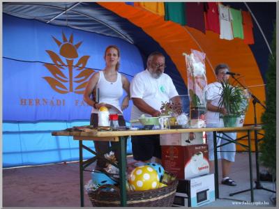 Falunap 2010.