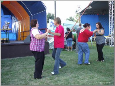 Falunap 2010.