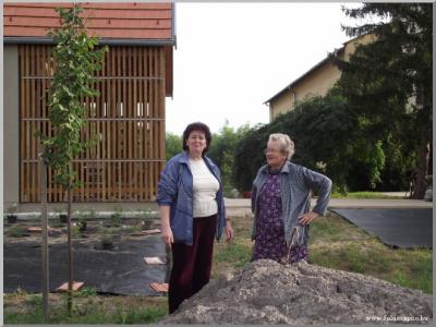 Takarítási világnap