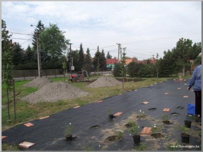 Takarítási világnap