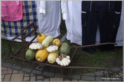 Szüreti felvonulás 2010. - Csati-parti