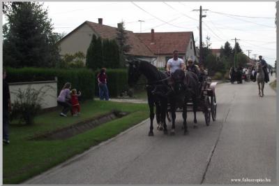 Szüreti felvonulás 2010. - Csati-parti