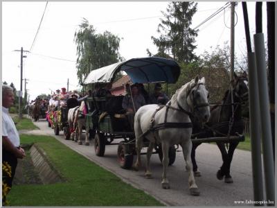 Szüreti felvonulás 2010. - Csati-parti