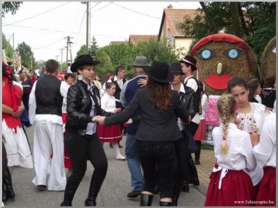 Szüreti felvonulás 2010. - Csati-parti