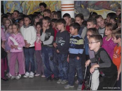 Állatok világnapja 2010.